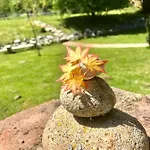 招待所 Natur Kan Kan