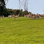 Natur Kan 招待所 *