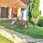 Natur Kan Kan