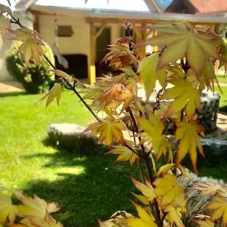Natur Kán * Kan