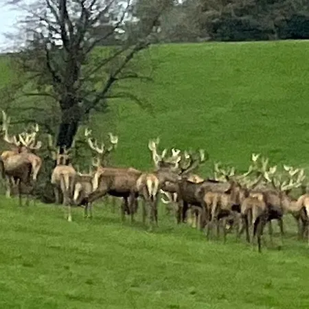 Guest house Natur Kan *