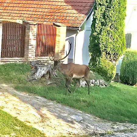 Natur Kán Kan