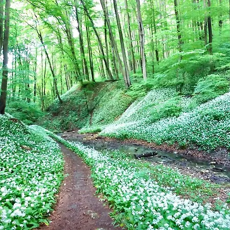 Natur Kan * Kan