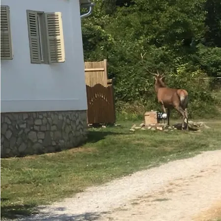 Penzion Natur Kán