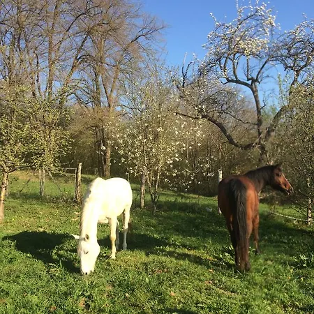 Natur Kán Penzion