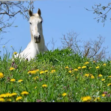 Natur Kán