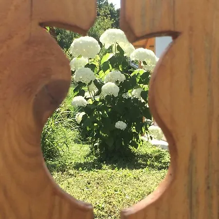 Natur Kán