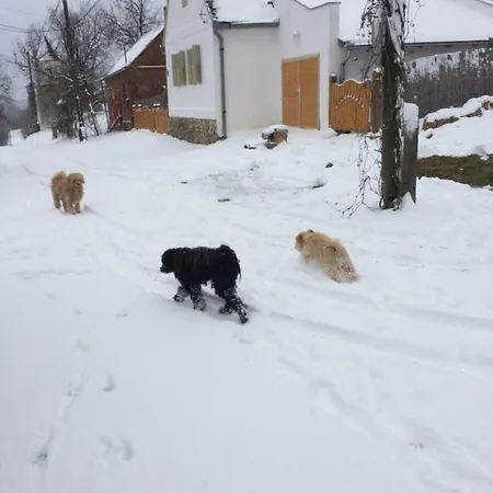 Natur Kán Penzion *