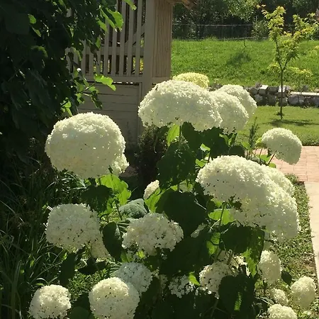 Natur Kán Penzion Kan